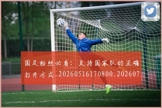 国足粉丝必看：支持国家队的正确打开方式_20260516170800_20260703224334