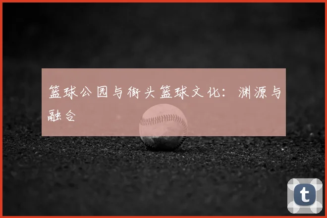 篮球公园与街头篮球文化：渊源与融合