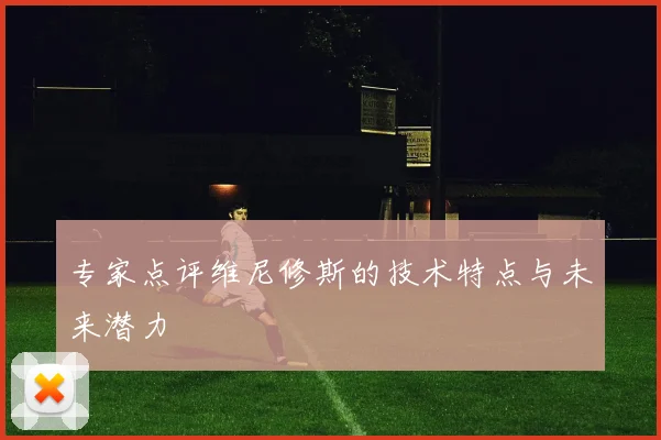 专家点评维尼修斯的技术特点与未来潜力